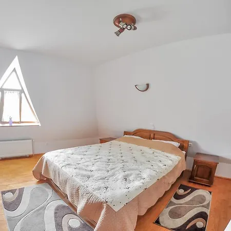 Holiday home Casele De Vacanta Luca & Vicentiu Botiza