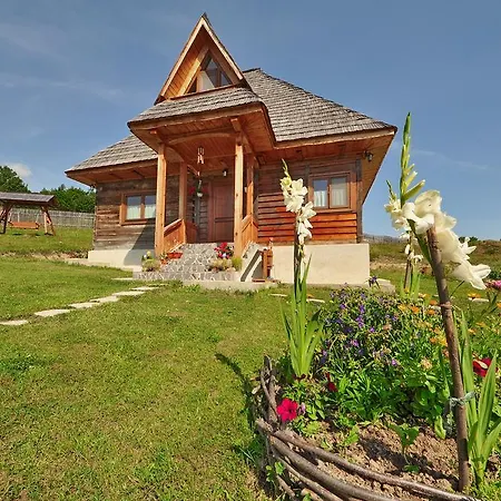 Holiday home Casele De Vacanta Luca & Vicentiu