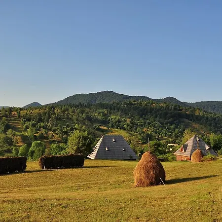 Holiday home Casele De Vacanta Luca & Vicentiu *
