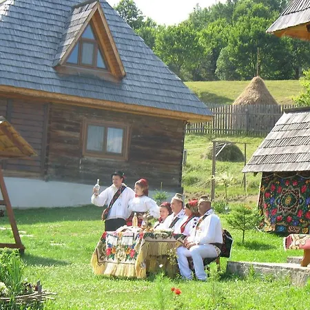 Holiday home Casele De Vacanta Luca & Vicentiu Botiza