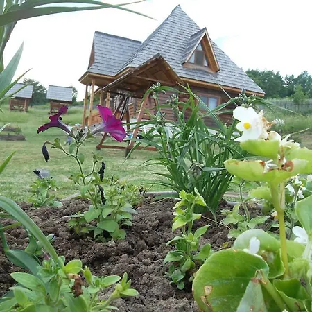 Holiday home Casele De Vacanta Luca & Vicentiu