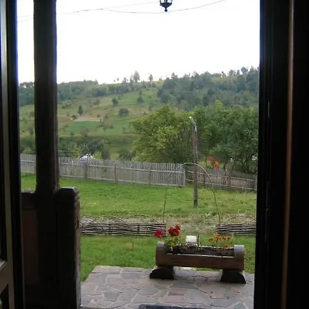 Holiday home Casele De Vacanta Luca & Vicentiu Botiza