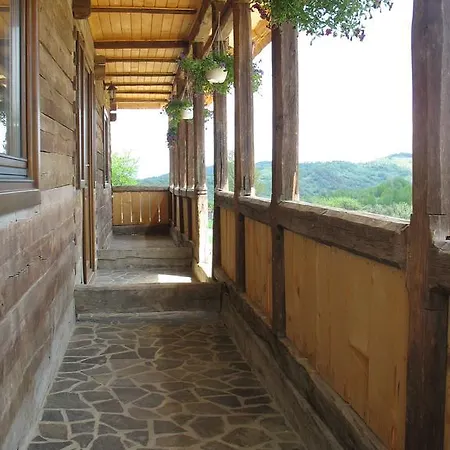 Casele De Vacanta Luca & Vicentiu Botiza