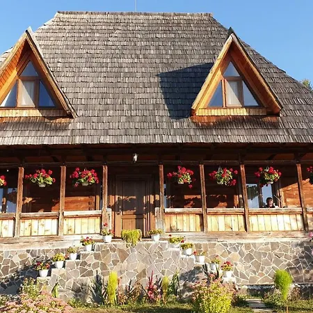 Casele De Vacanta Luca & Vicentiu Holiday home