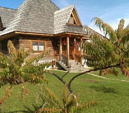 Casele De Vacanta Luca & Vicentiu Holiday home